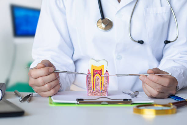 Best Emergency Dental Care for Sports Injuries in Enoch, UT